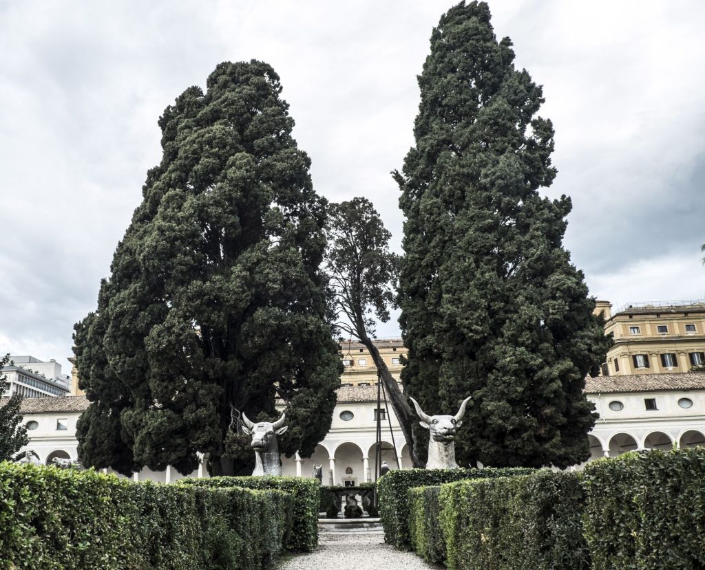 Il cipresso di Michelangelo a&nbsp;Roma