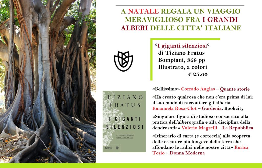 A Natale regala un viaggio&nbsp;meraviglioso