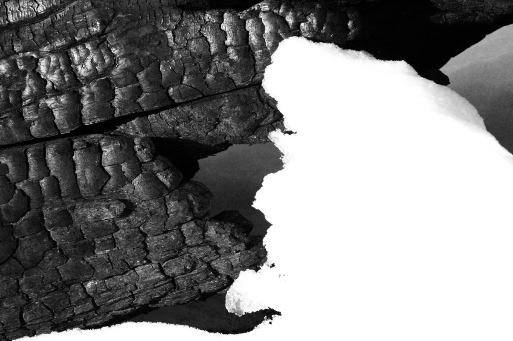 Fra i boschi incendiati e innevati di&nbsp;Mompantero