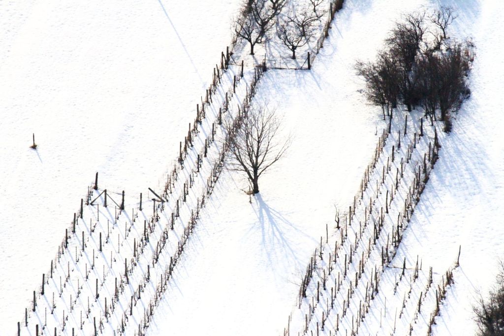 Paesaggi boschivi invernali – Domani su Radio&nbsp;Francigena