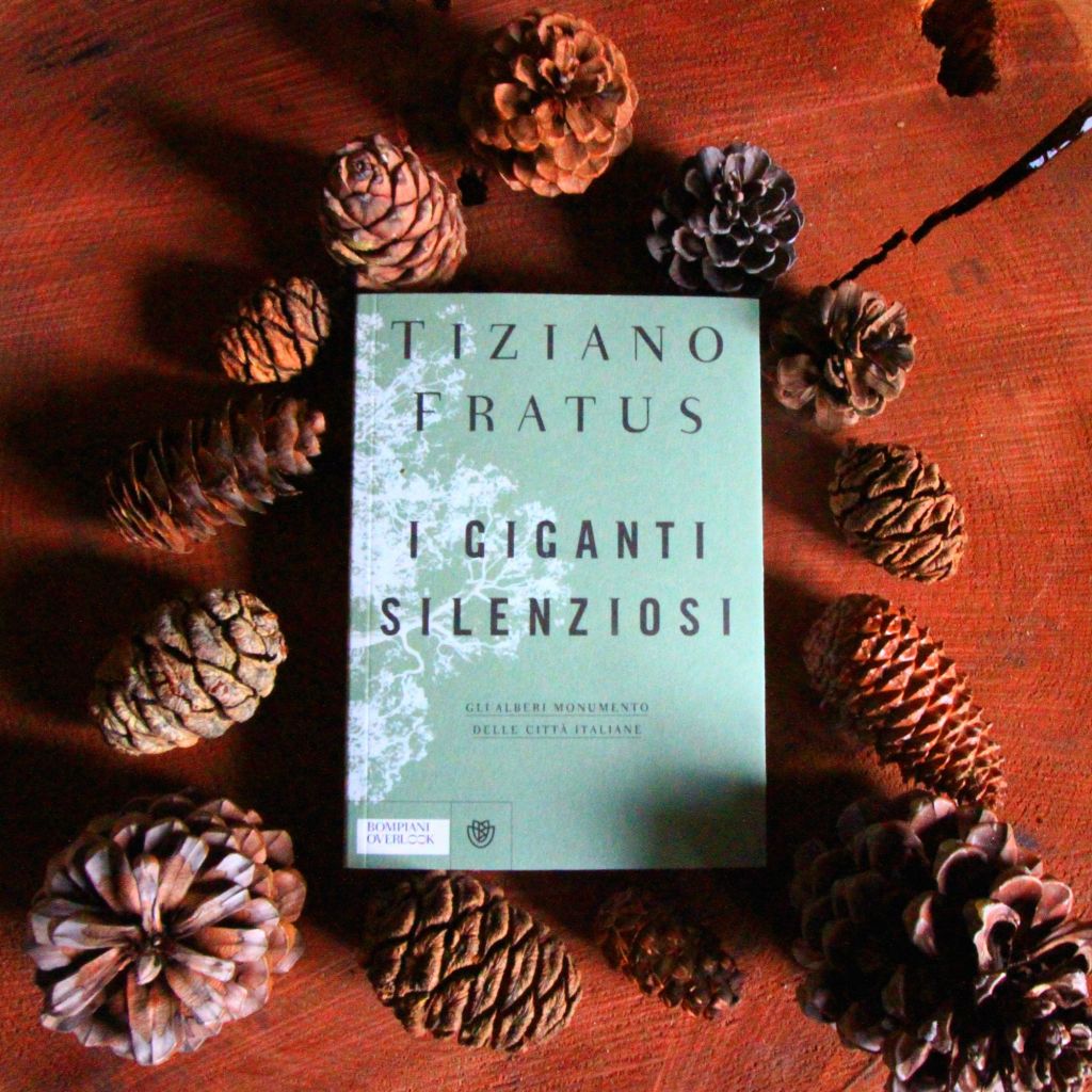 °I giganti silenziosi°: un regalo per qualsiasi&nbsp;stagione