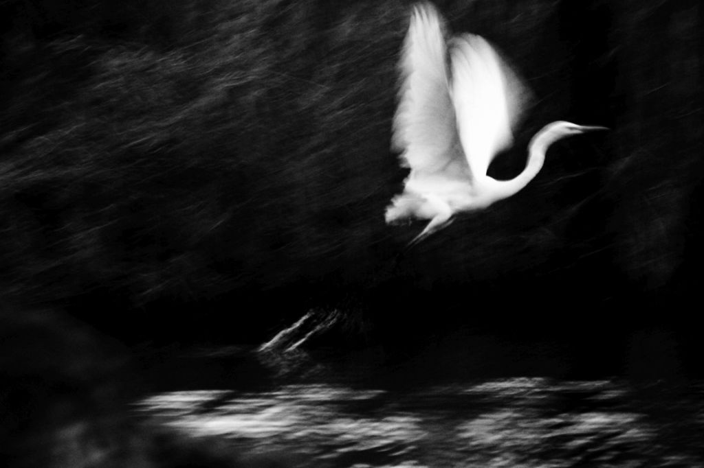 Giornata Mondiale della Poesia&nbsp;2018