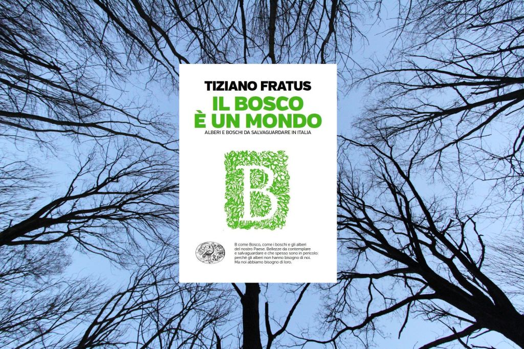 °Il bosco è un&nbsp;mondo°