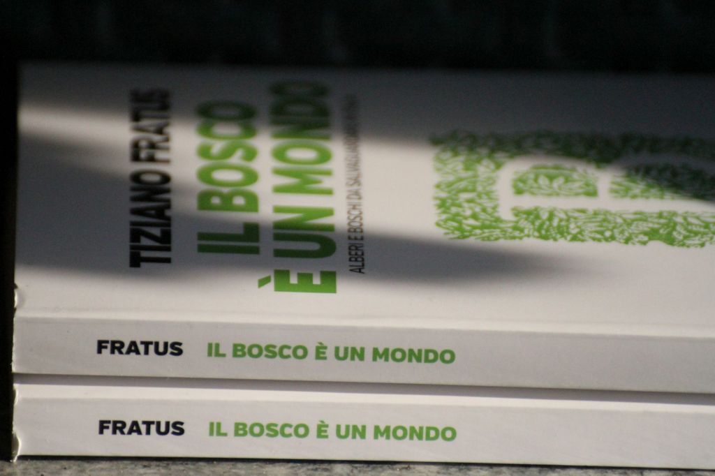 Il bosco è un mondo. Gli scatti&nbsp;#1