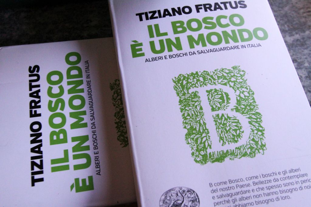 Il bosco è un mondo – Il&nbsp;rammendo