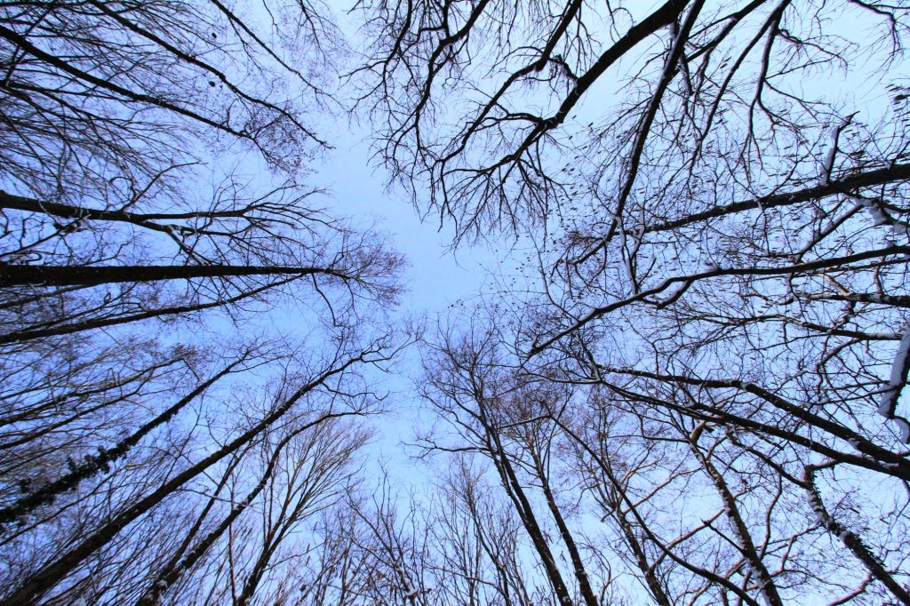 Il migrare lento nella vastità dell’Appennino