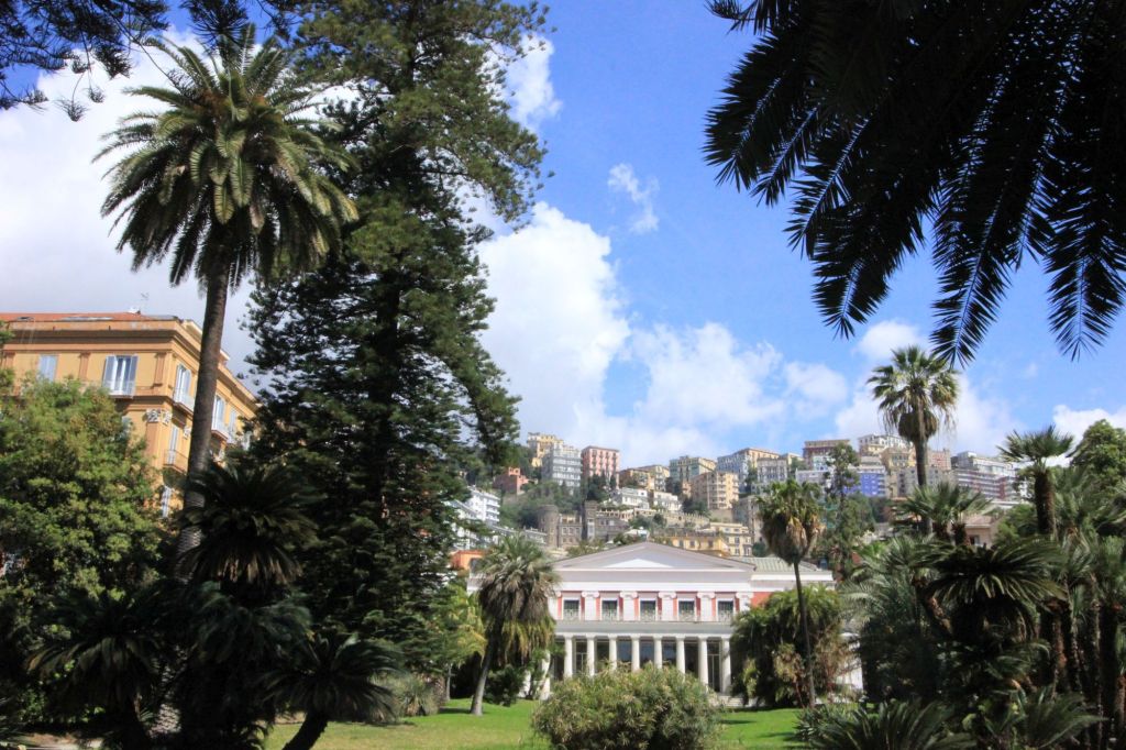 Le araucarie di Villa&nbsp;Pignatelli