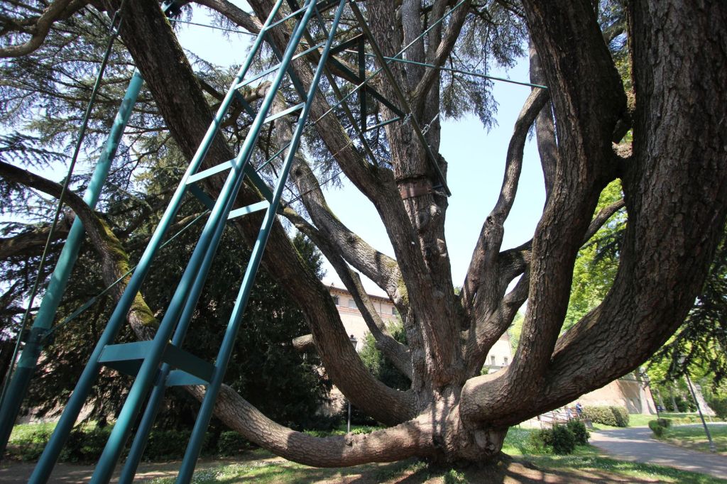 Incontro a Giardini Estensi a&nbsp;Ferrara