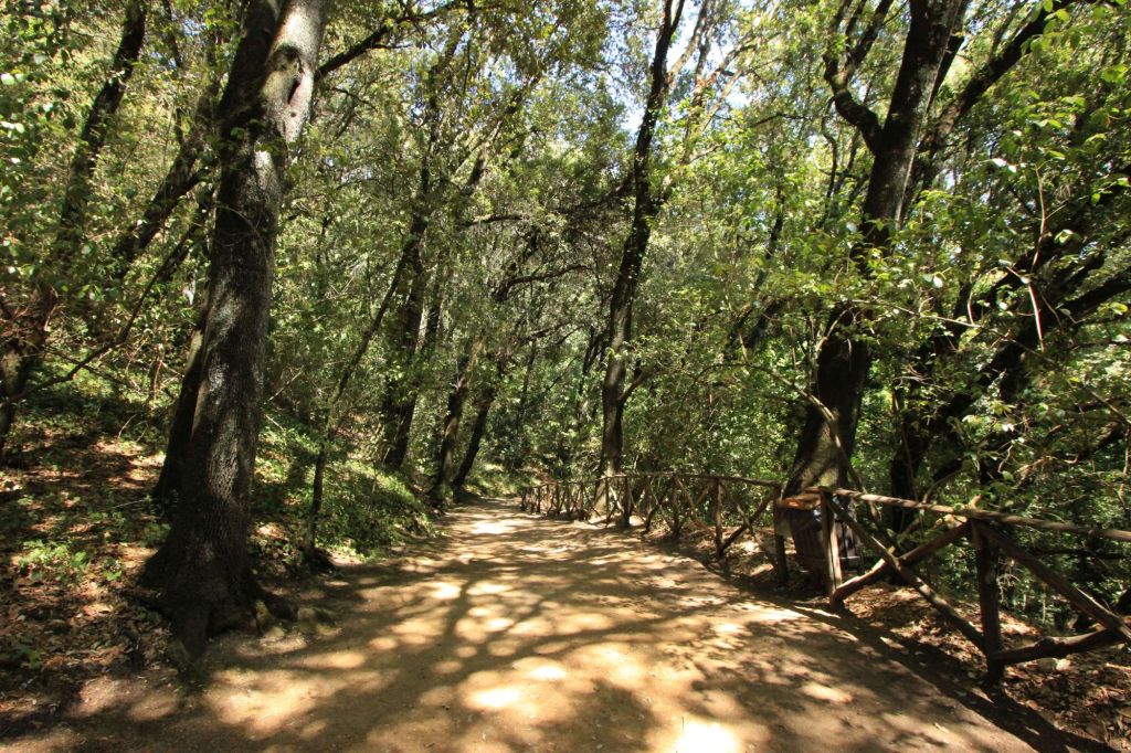 Il Parco Aymerich a Laconi –&nbsp;Sardegna