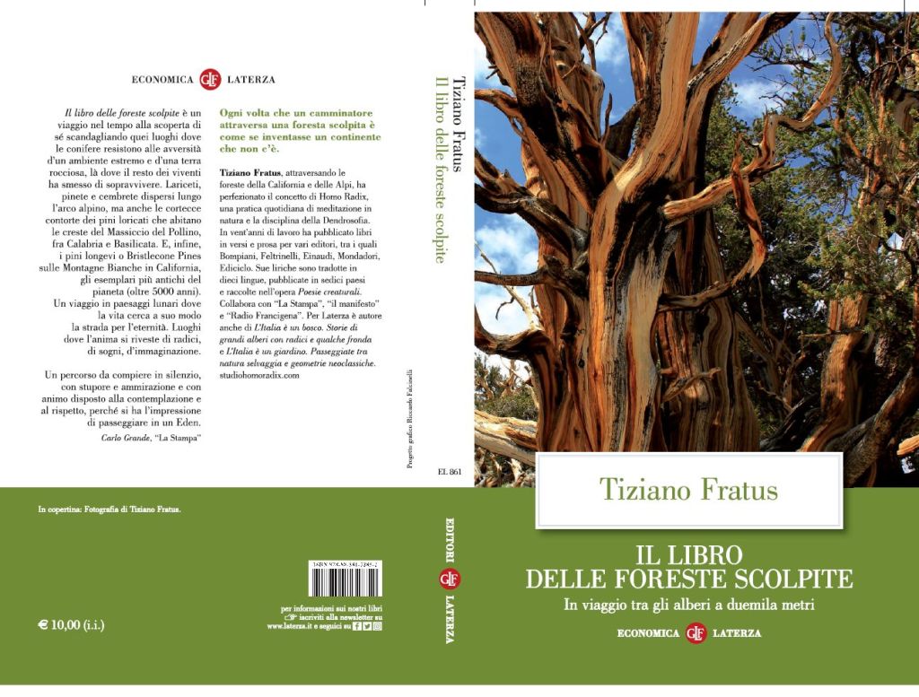 Il libro delle foreste&nbsp;scolpite