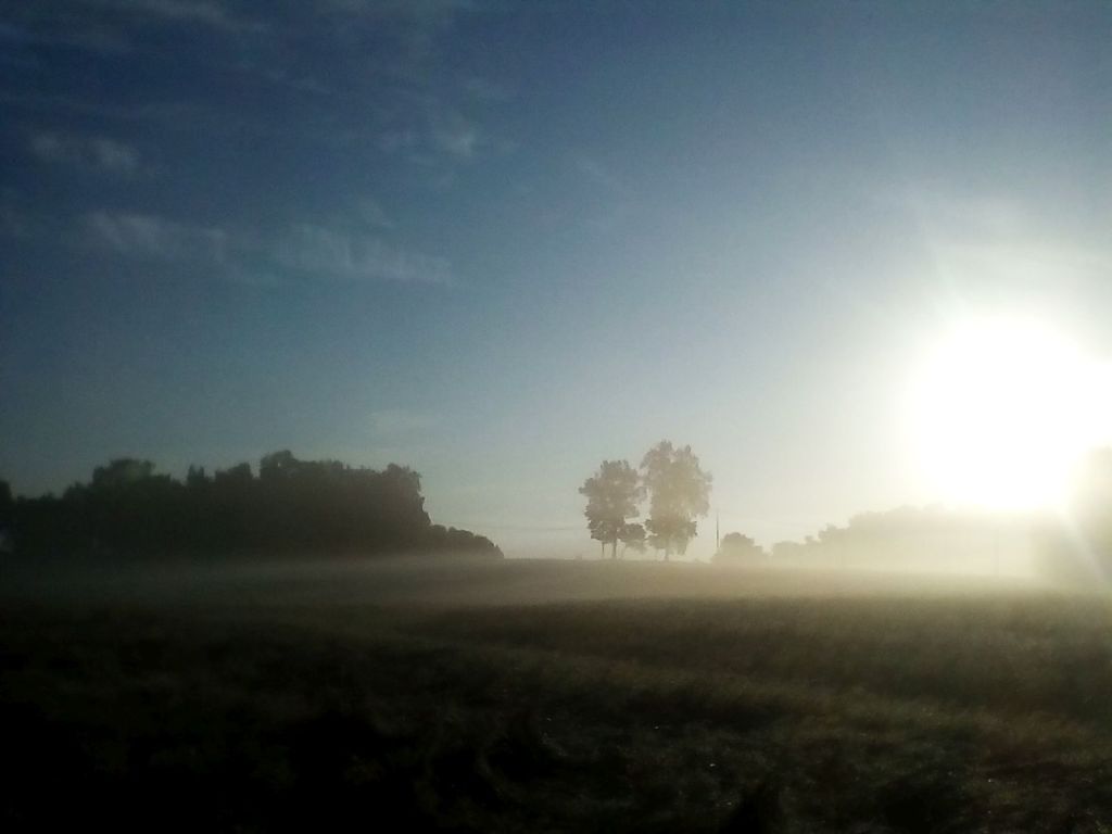 Passi e silenzio a&nbsp;Bose