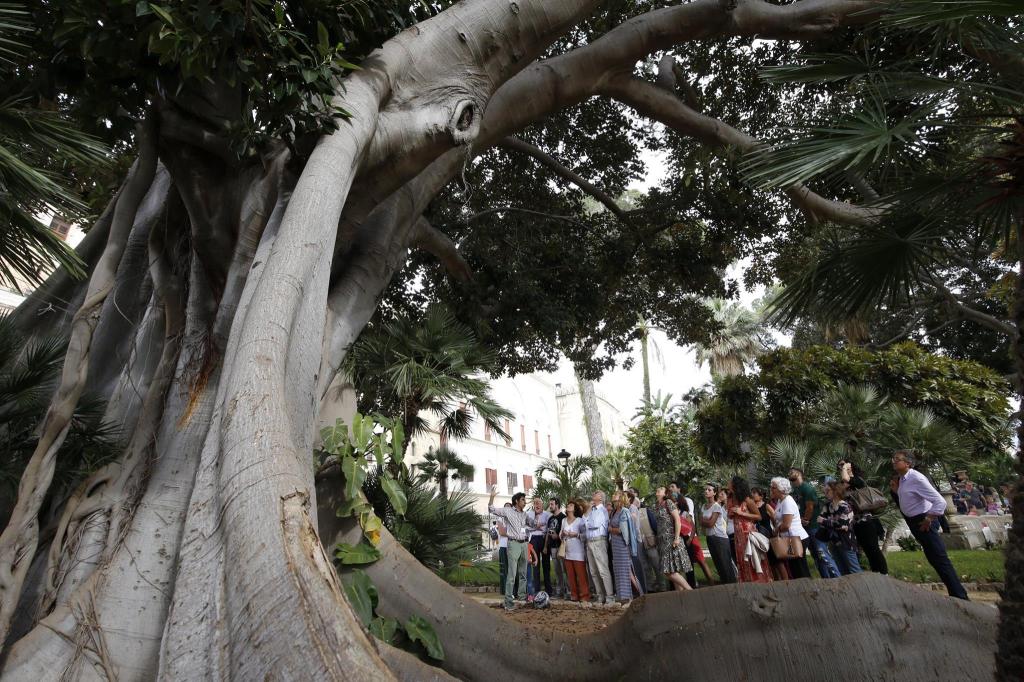 Intervista a Palermo