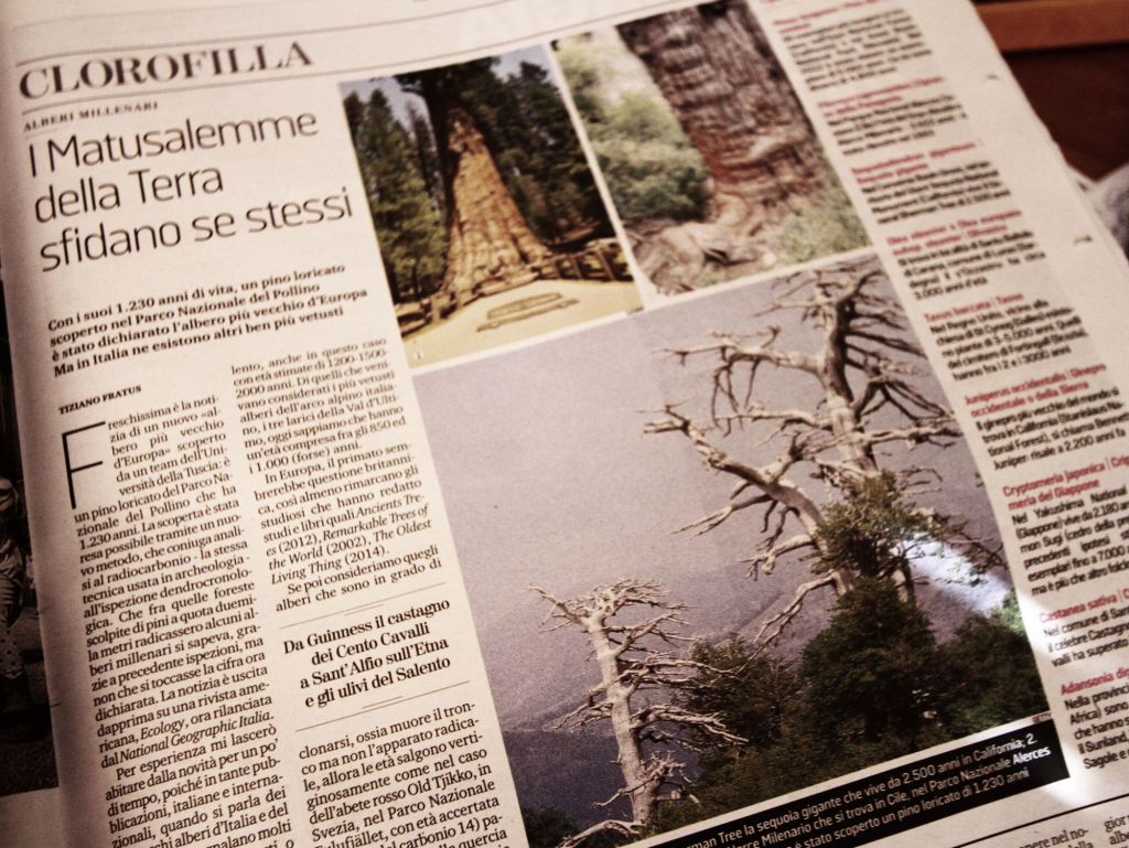 I Matusalemme della&nbsp;Terra