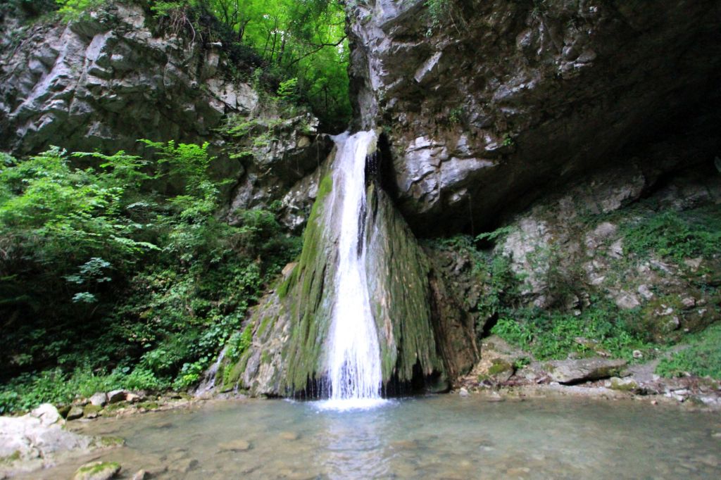 Atti di dendrosofia in giro per&nbsp;l’Italia