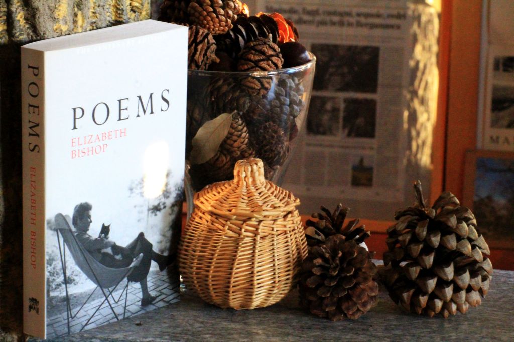 Strumenti – Istantanee dallo Studio&nbsp;Fiammingo