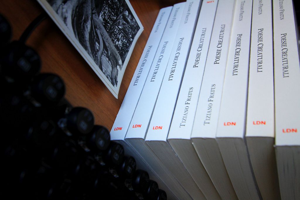 °Le tatuate di&nbsp;Avignone°