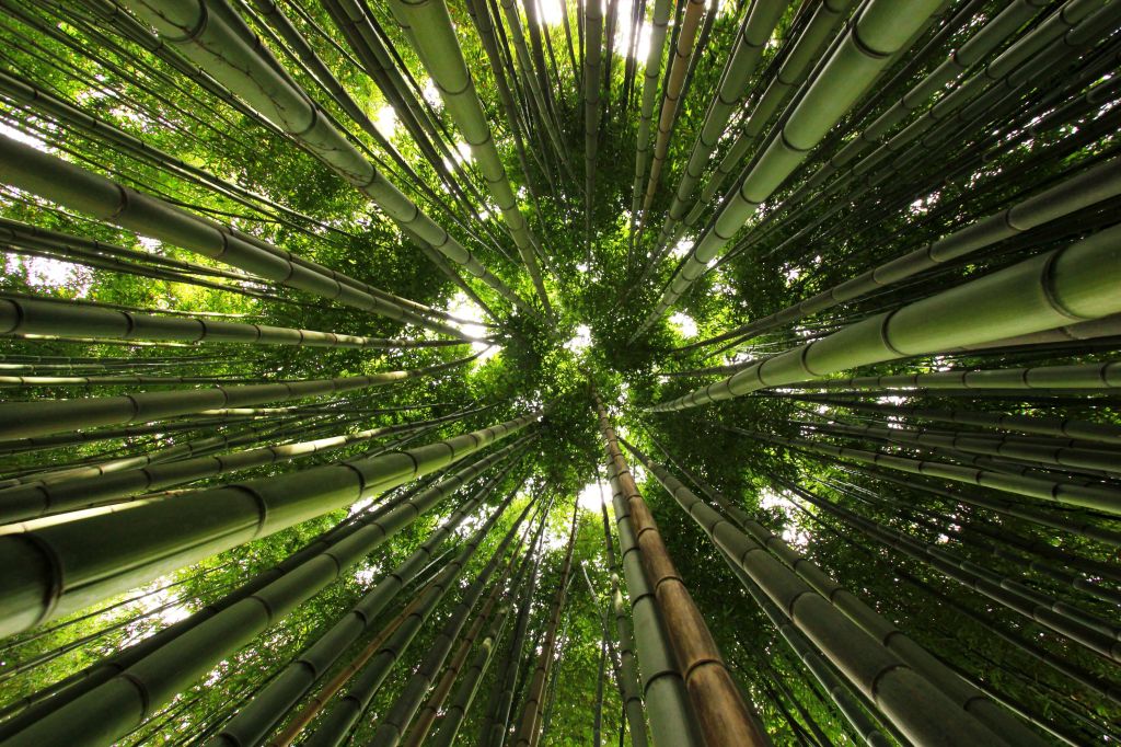 Ottava tappa di °Nova Silva&nbsp;Philosophica°