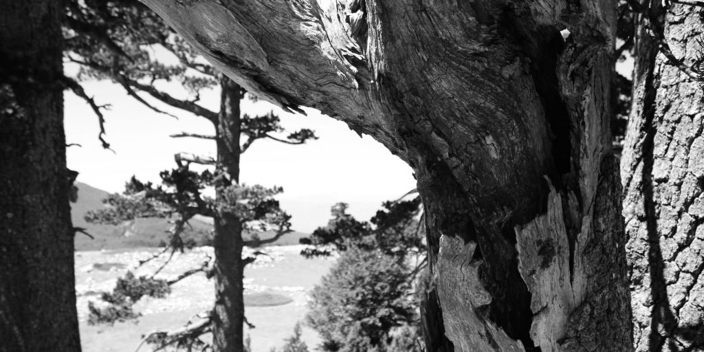 Fratus al Milano Photo&nbsp;Festival