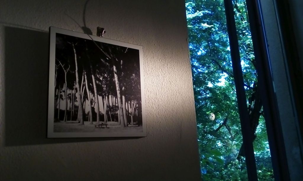 Garofalo Fratus a&nbsp;Milano