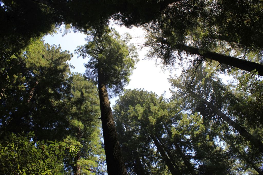 Un’ultima carezza, a last&nbsp;caress