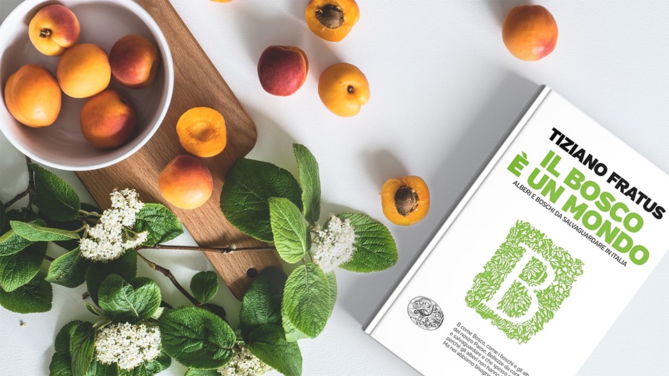 Fratus a Villa dei&nbsp;Vescovi