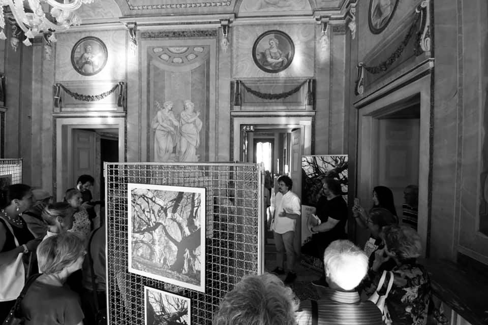 Arborgrammaticus, aperta a Como fino al 29&nbsp;giugno