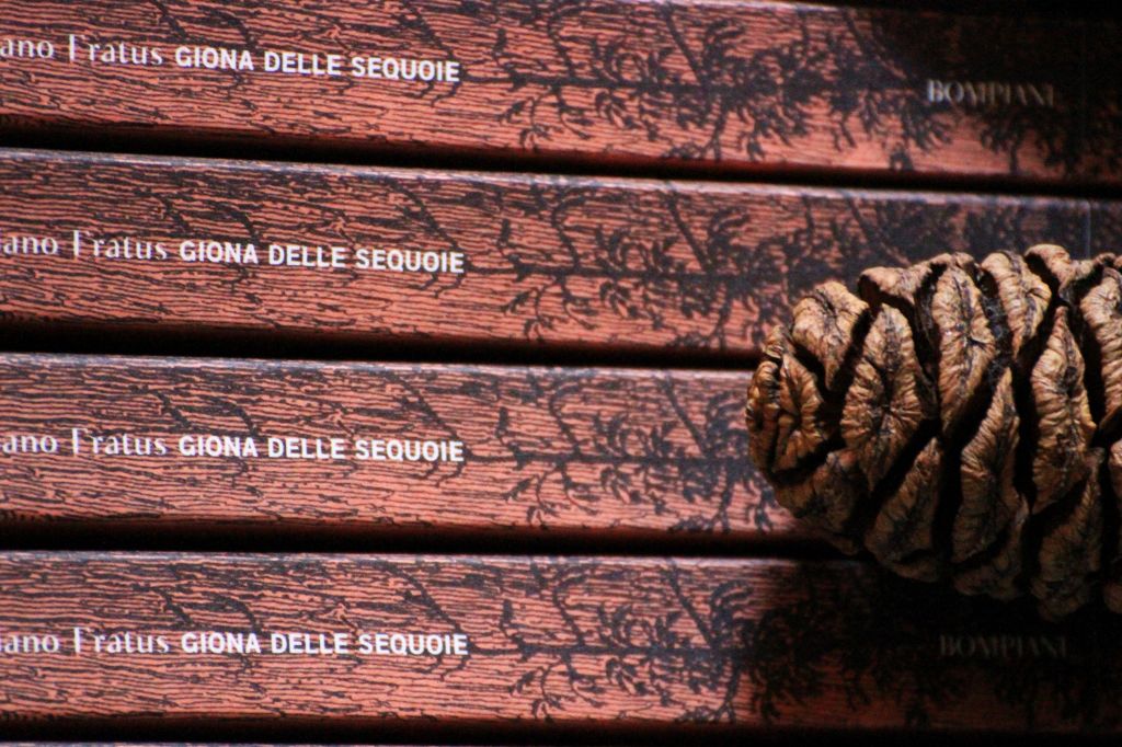 Intervista a Cronache&nbsp;picene