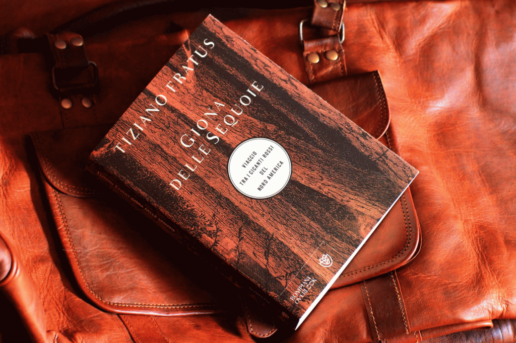 Il libro della&nbsp;maturità