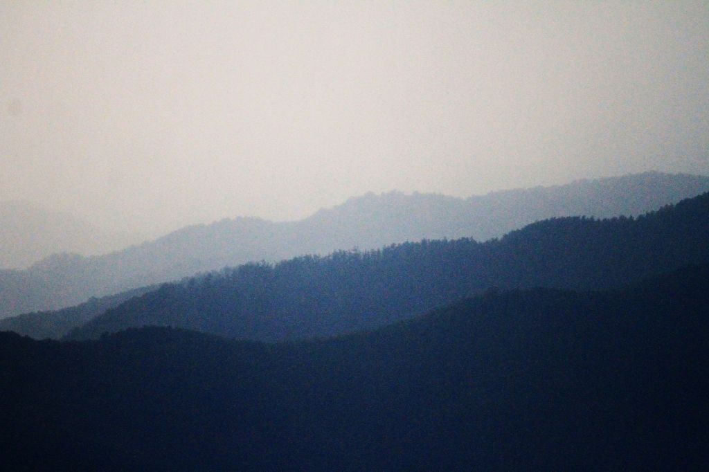 Gatti di montagna – Meditare in&nbsp;selva