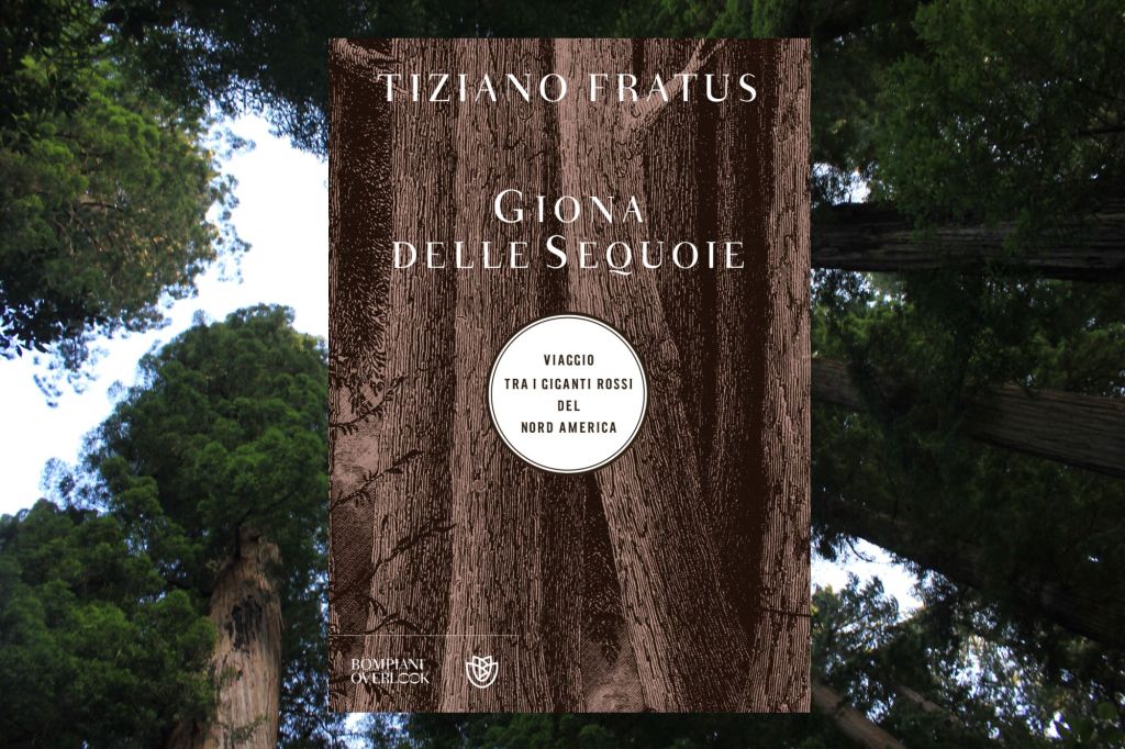 Quando Dio ci fa stupire nelle&nbsp;sequoie