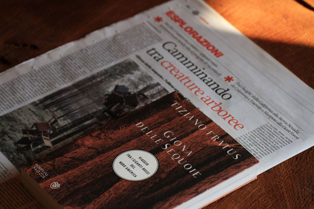 Camminando tra creature&nbsp;arboree