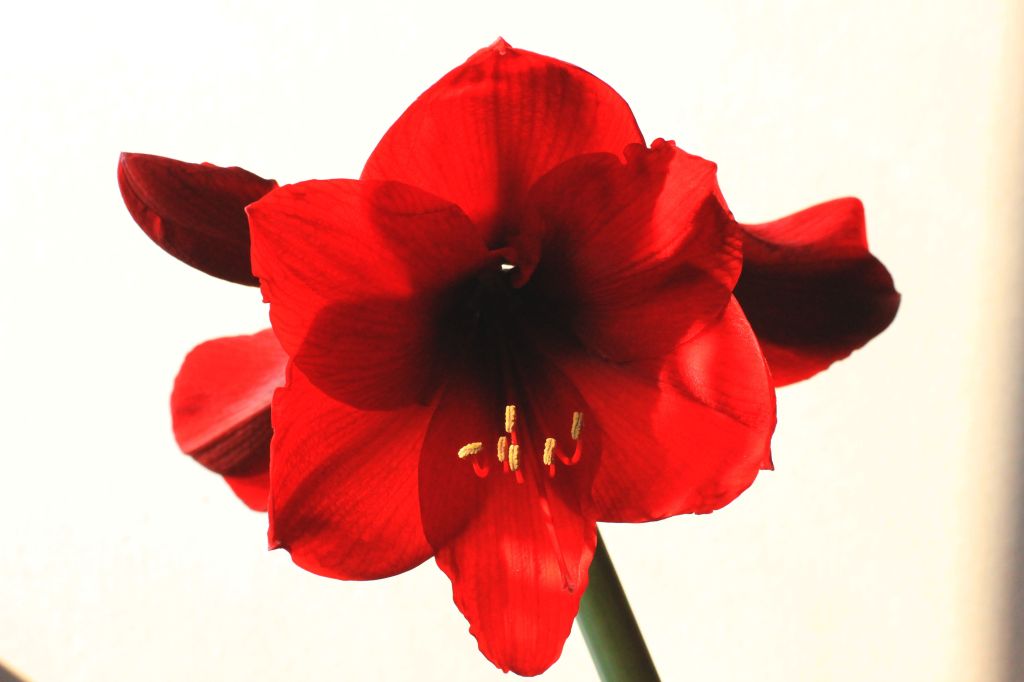 Avvertenza ai naturalisti