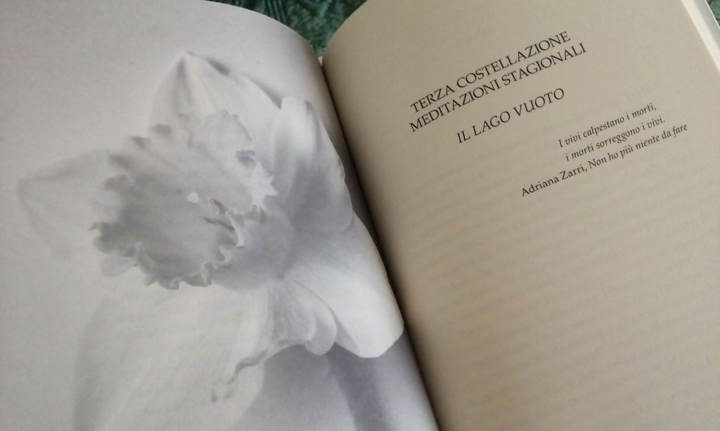 Meditare in natura sul dono della&nbsp;vita