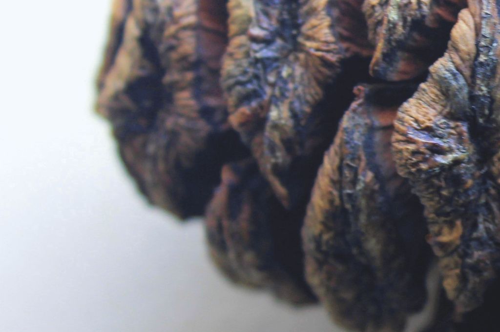 Sulla Nuova Gazzetta di&nbsp;Modena