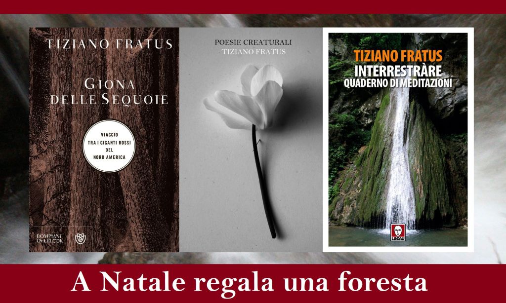 A Natale regala una&nbsp;foresta