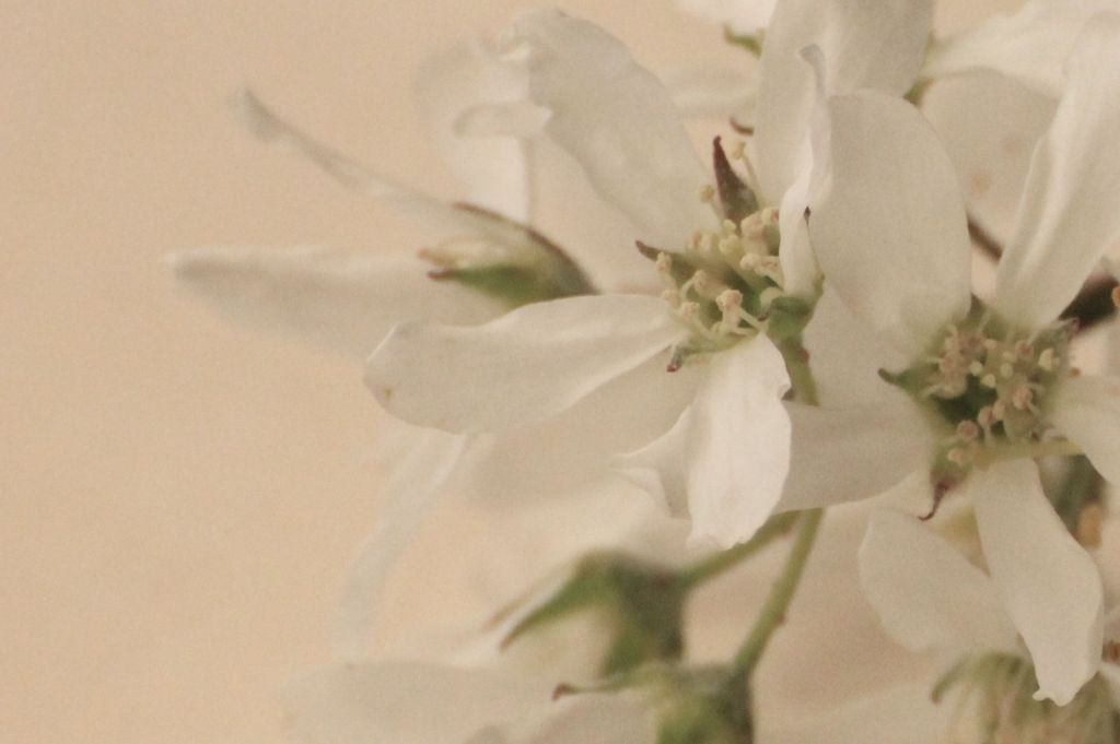 Appunti dal ruscello&nbsp;#1