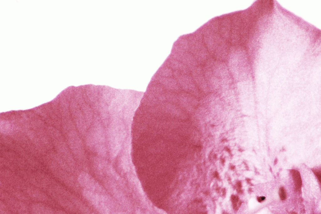 Poesia nelle scuole col Gruppo&nbsp;Abele