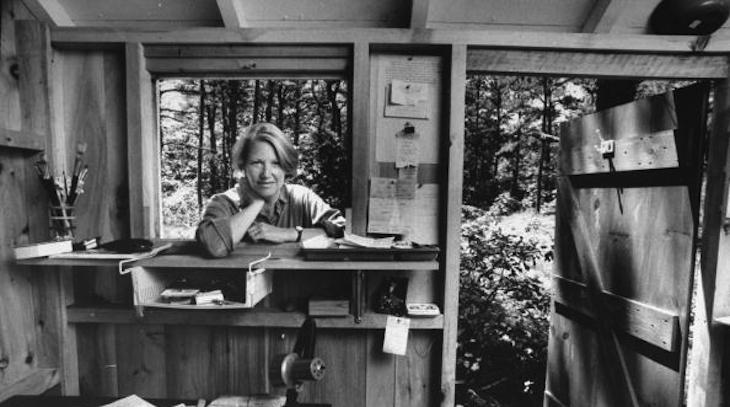 Qualche domanda e risposta a proposito di Storia&nbsp;naturale