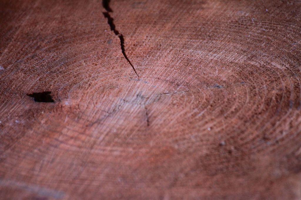 Compleanno del Budda