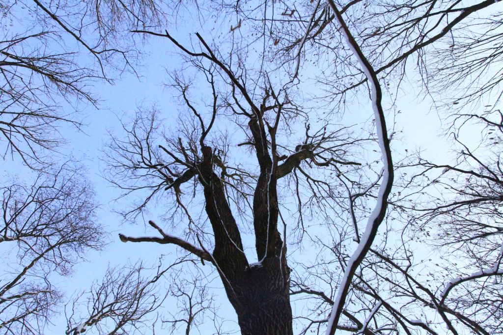 Storie innaturali sesto&nbsp;passo