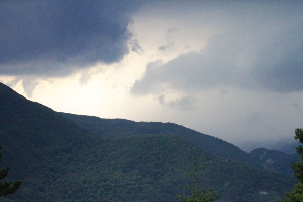 La Bibbia del&nbsp;Selvatico