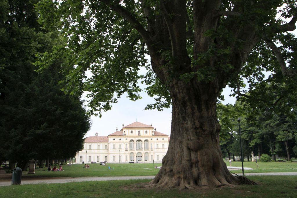 Il Re verde di&nbsp;Torino
