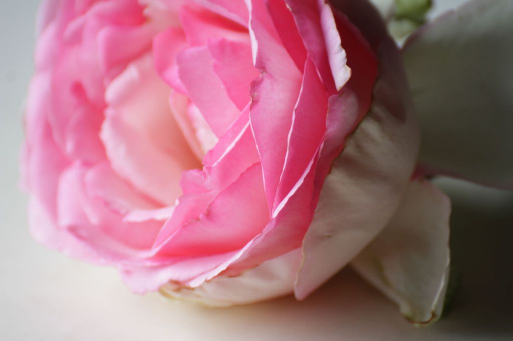 Una poesia per la Casa della Poesia di&nbsp;Monza