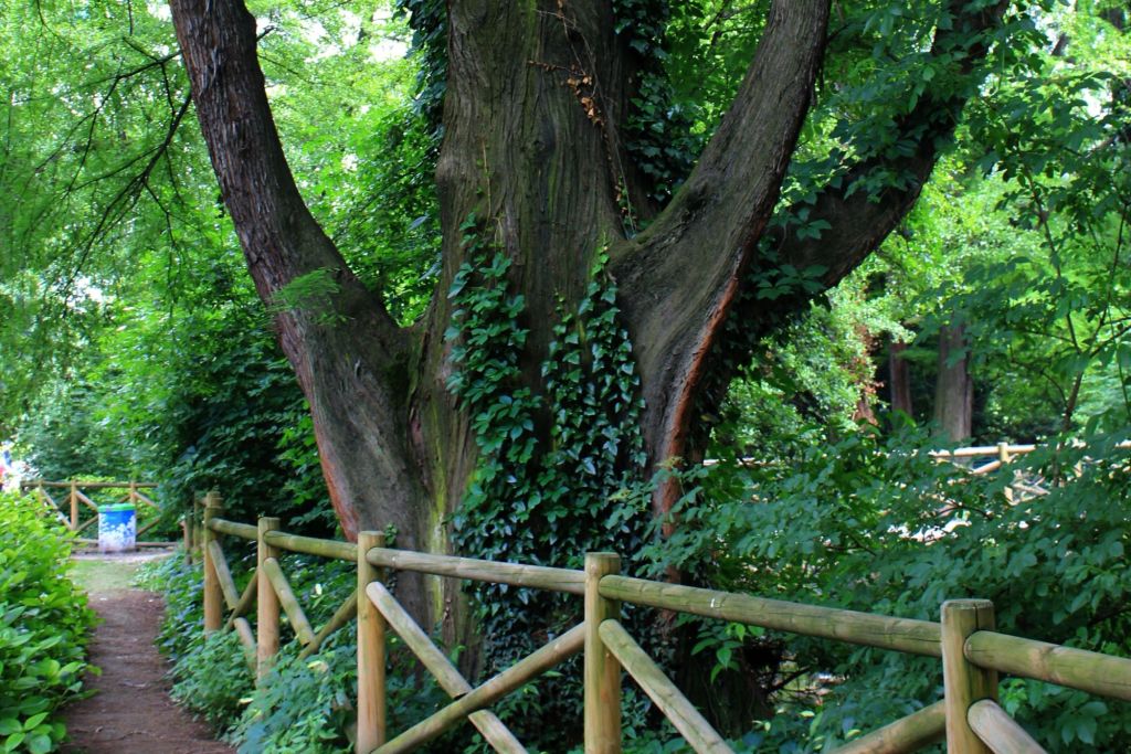 L’abate e i suoi&nbsp;monaci