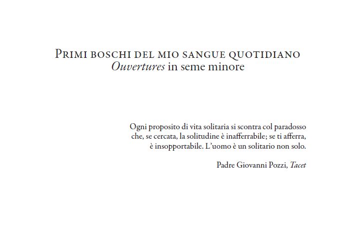 Bozze del prossimo&nbsp;bosco