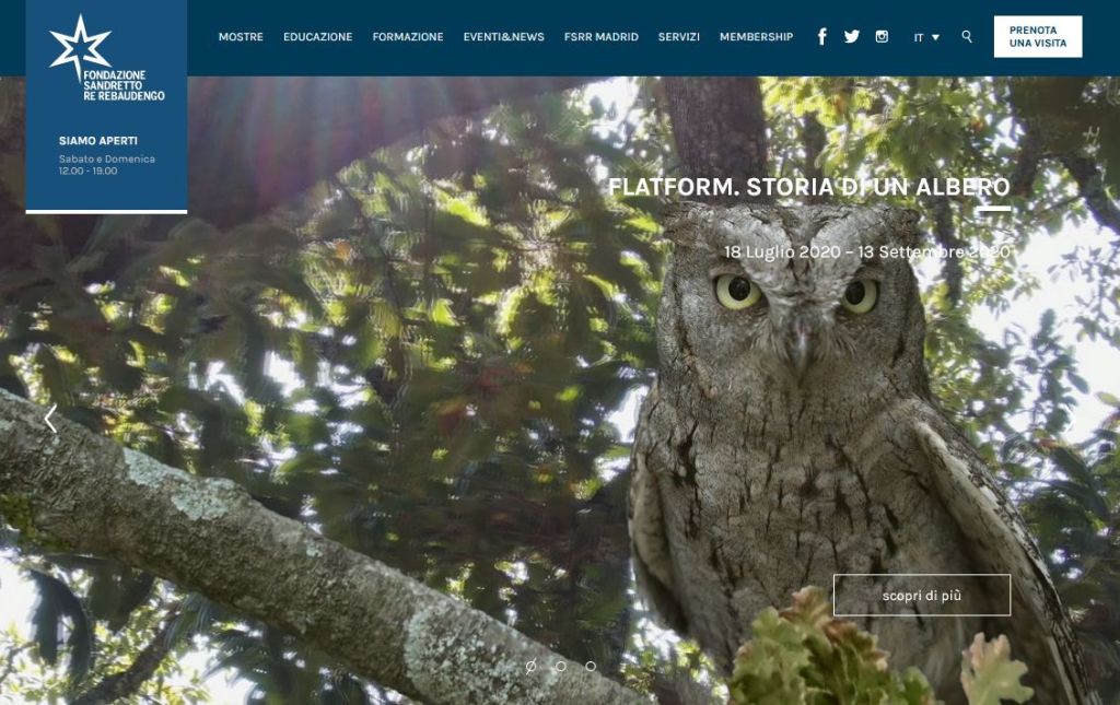 Storia di un&nbsp;albero