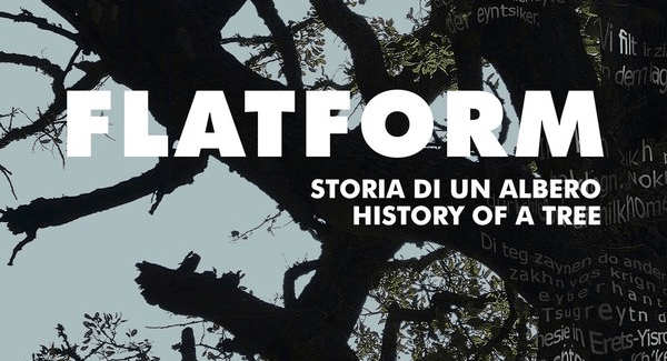 Storia di un albero, il&nbsp;libro