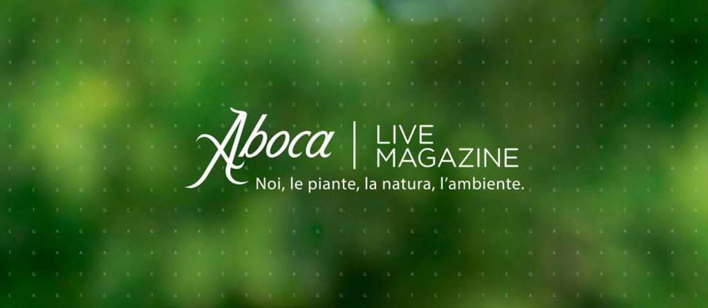 Cercando il bosco che è in&nbsp;me