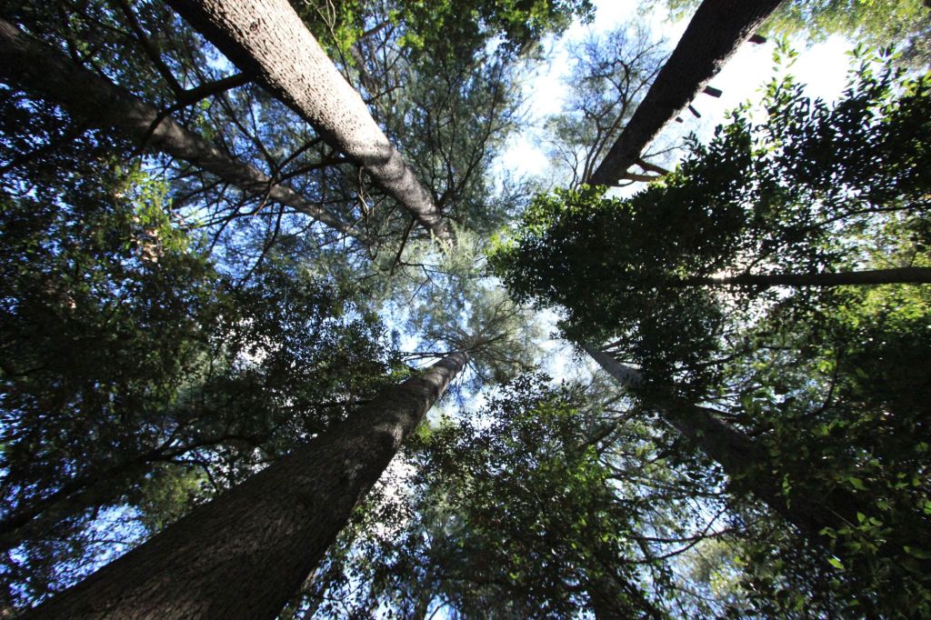 Due incontri nel bresciano e una camminata al&nbsp;Fantabosco