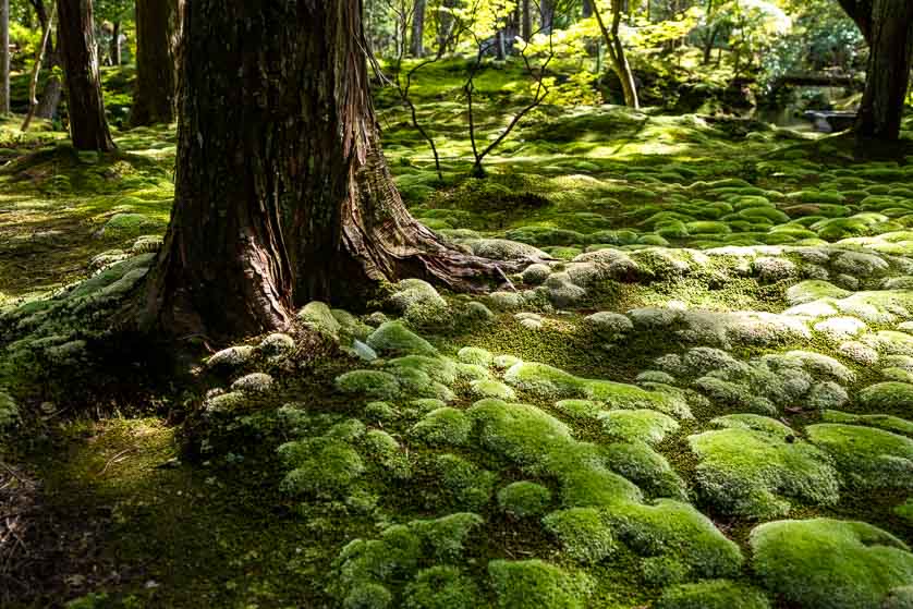 Le poesie eremitiche di Muso&nbsp;Soseki
